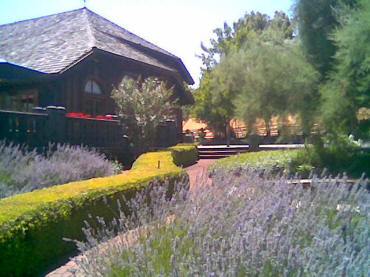 Navarro Winery