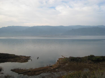 Tomales Bay